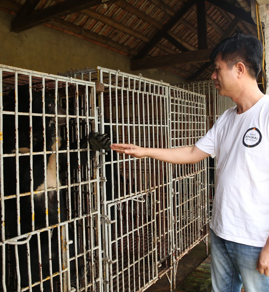 Cam the bear rescued with Phuong, a World Animal Protection team member